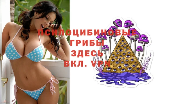 ПСИЛОЦИБИНОВЫЕ ГРИБЫ Магас