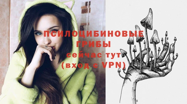 ПСИЛОЦИБИНОВЫЕ ГРИБЫ Магас